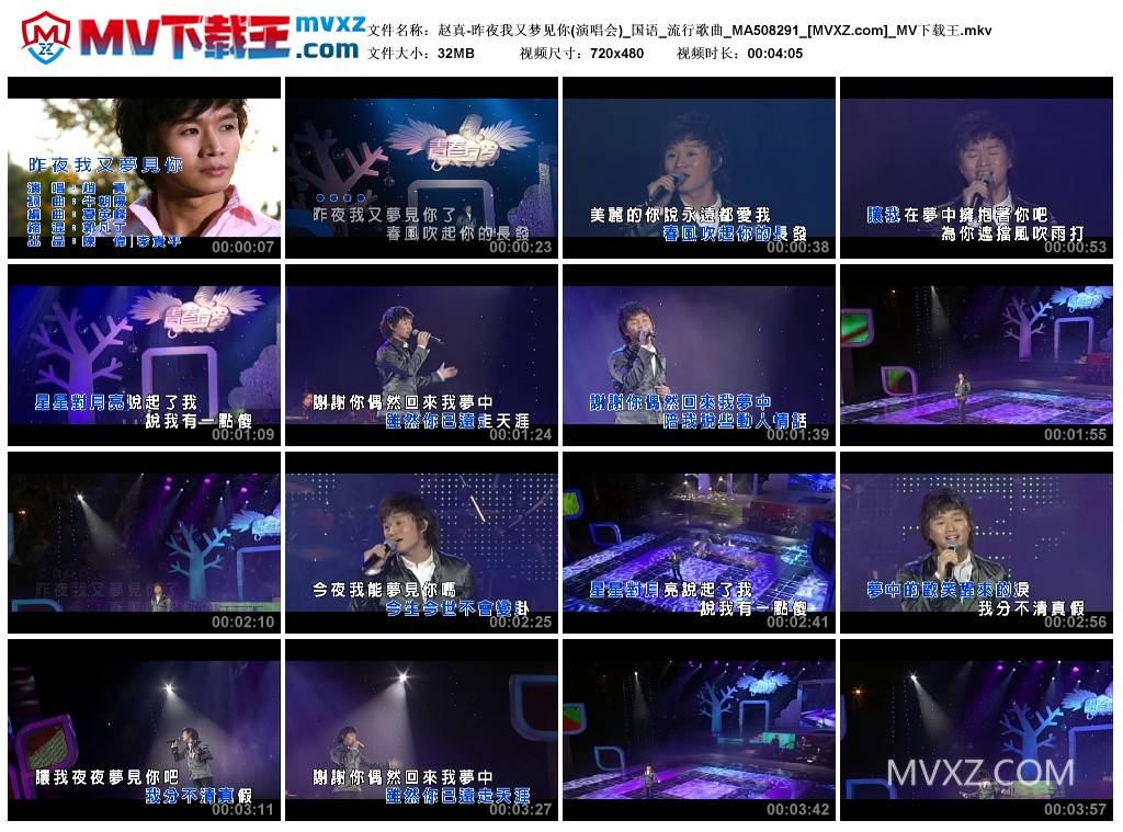 赵真-昨夜我又梦见你(演唱会)_国语_流行歌曲_MA508291